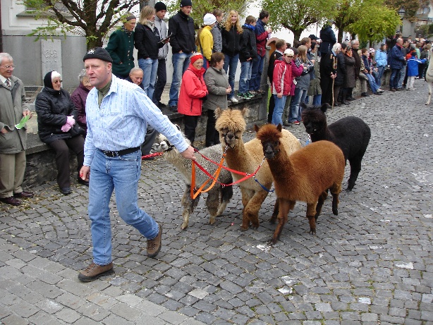 aelperchilbi_2007_me_032