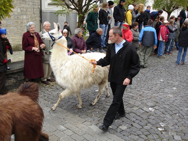 aelperchilbi_2007_me_038