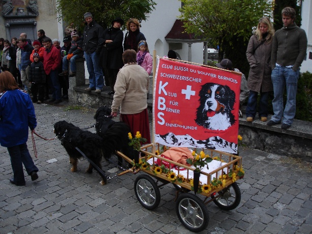 aelperchilbi_2007_me_044