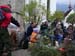 aelperchilbi_2007_me_087