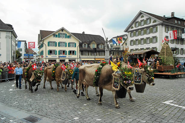 aelperchilbi_2007_foto_fischlin_041