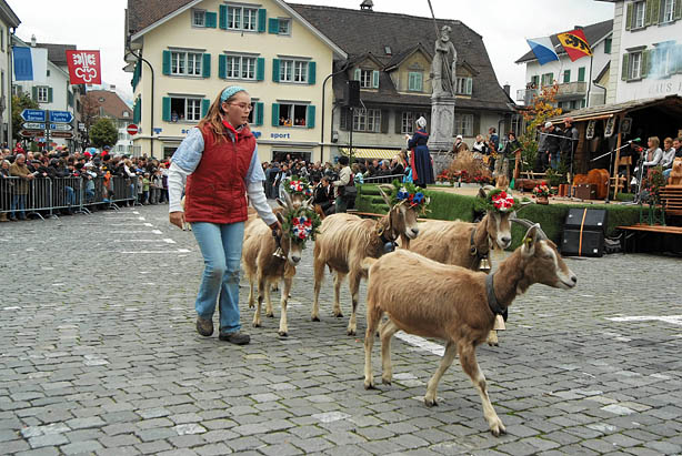 aelperchilbi_2007_foto_fischlin_045