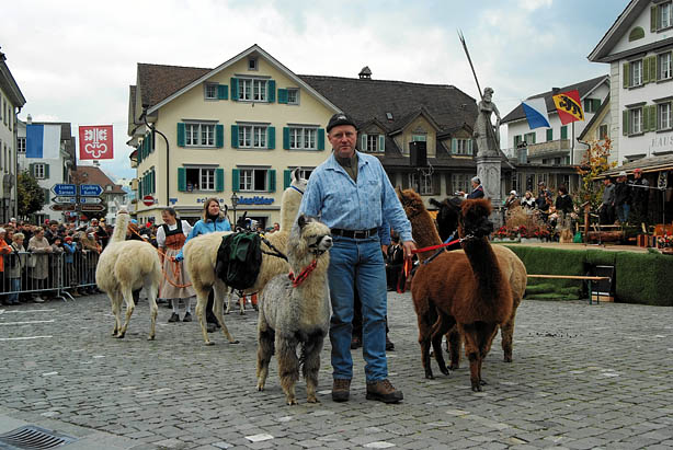 aelperchilbi_2007_foto_fischlin_047