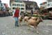 aelperchilbi_2007_foto_fischlin_045