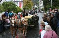 aelperchilbi_2010_markus_elsener_195