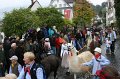 aelperchilbi_2010_markus_elsener_200