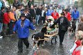 aelperchilbi_2010_markus_elsener_233