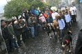 aelperchilbi_2010_markus_elsener_277