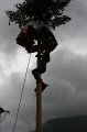 aelperchilbi_2010_markus_elsener_340