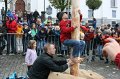 aelperchilbi_2010_markus_elsener_352