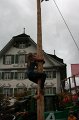 aelperchilbi_2010_markus_elsener_428